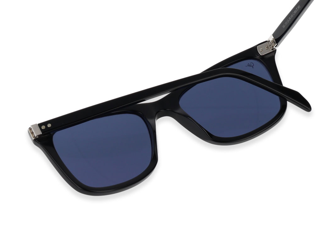 VG-733 SUNGLASSES