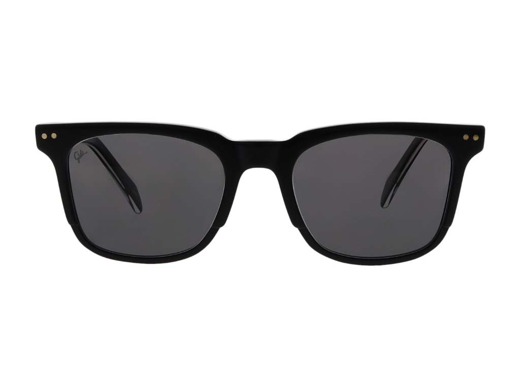 VG-703 SUNGLASSES