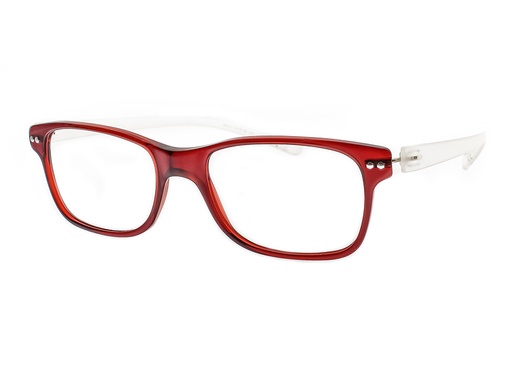  * [IGV0421511809] iGreen V-4.21 (09)